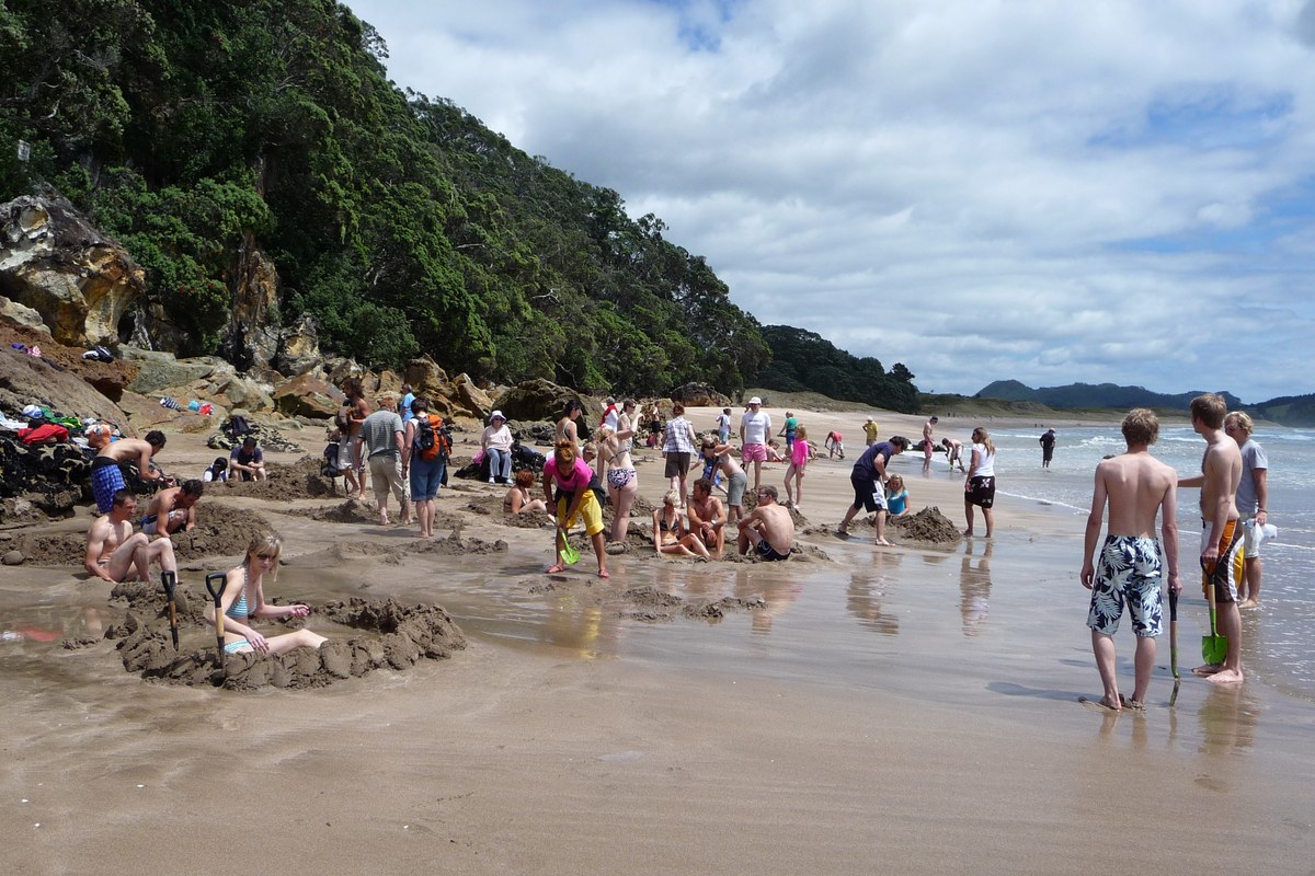 Visitors digging thermal pools in the sand at Hot Water Beach