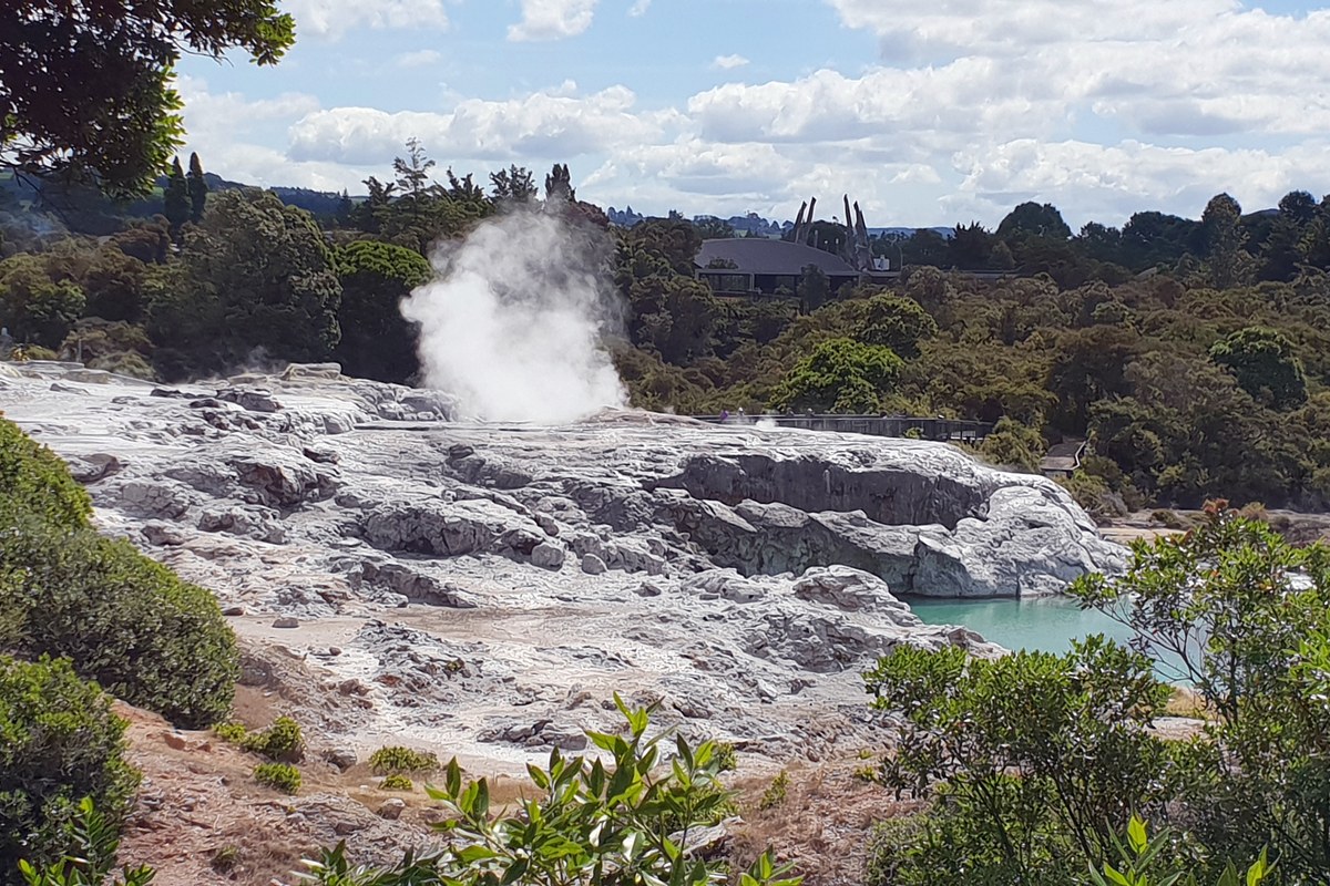 Pōhutu Geyser erupting in the Whakarewarewa geothermal valley