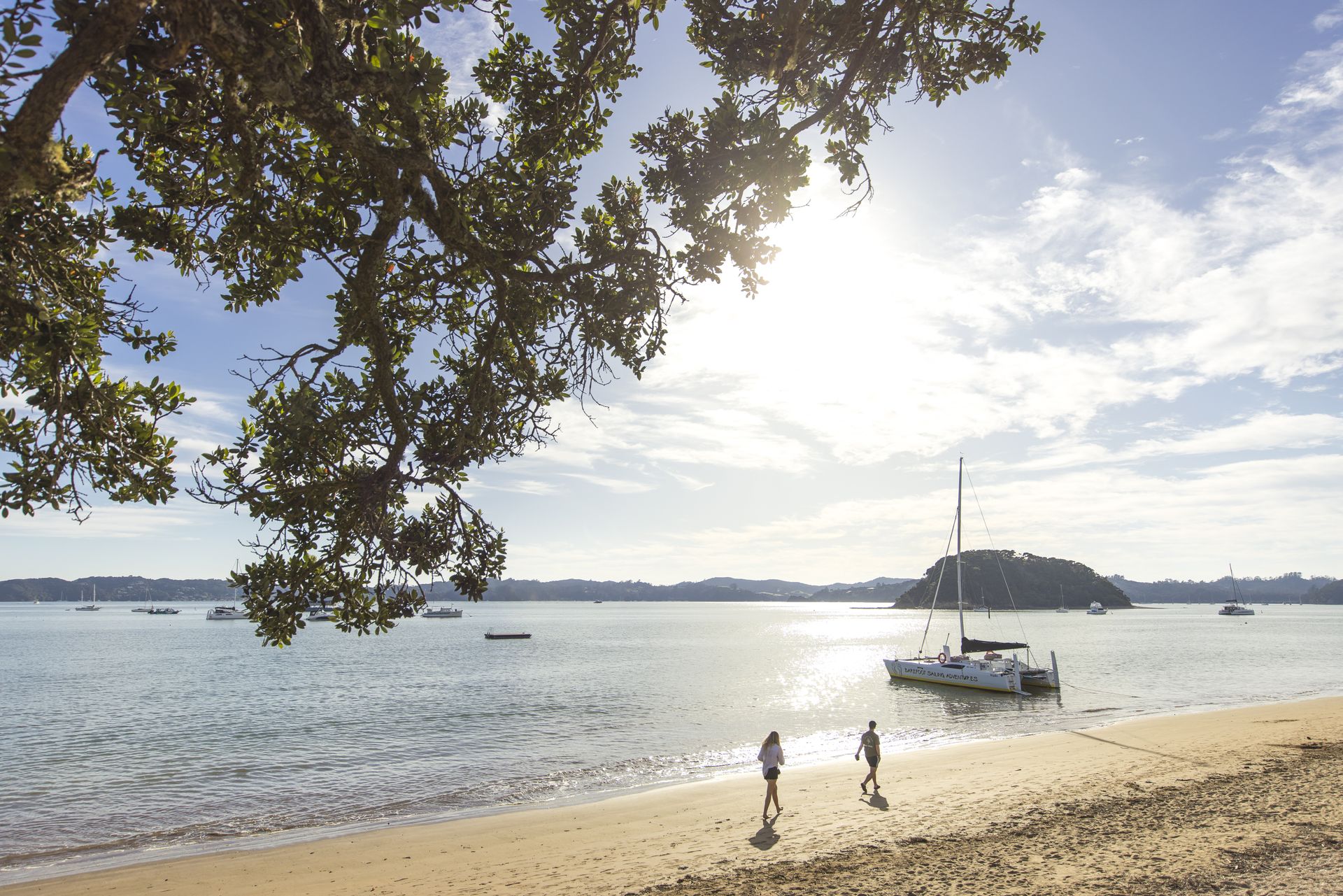 Paihia, New Zealand