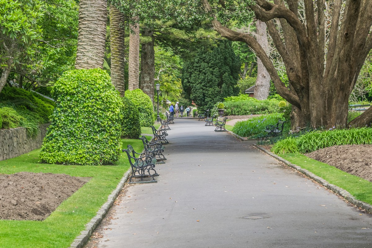 Pathways and mature trees in the Wellington Botanic Garden