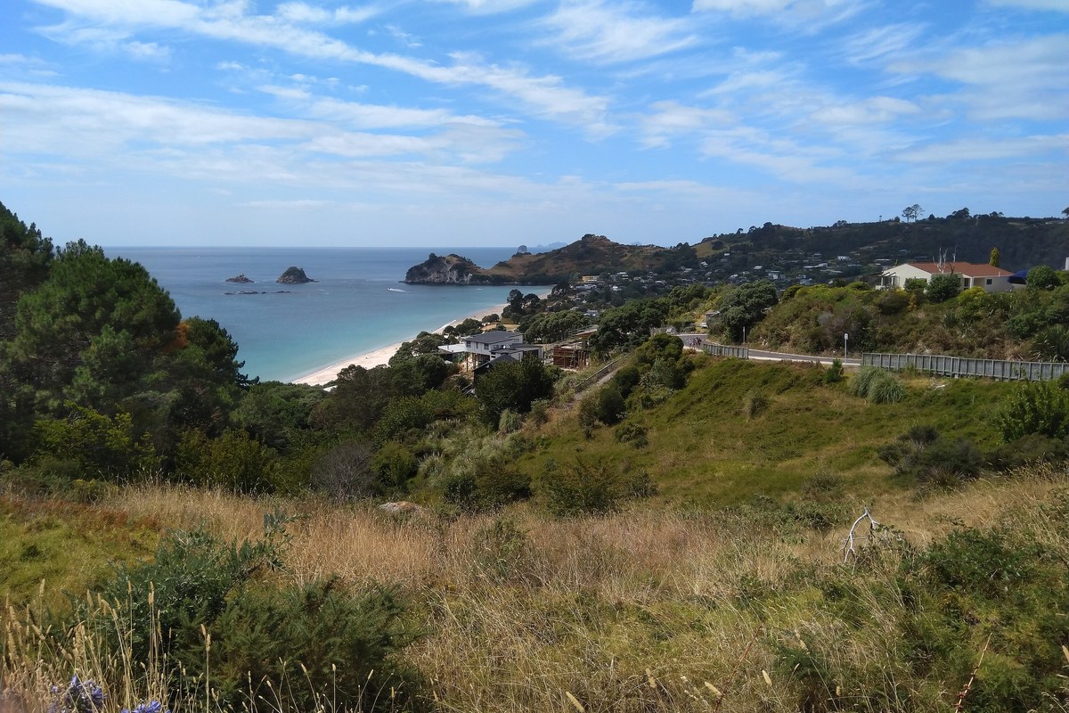 Hahei Beach and headland on the Coromandel Peninsula