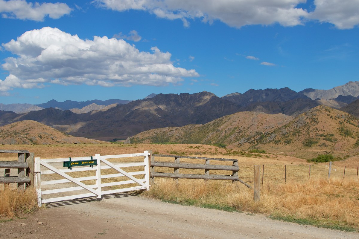 High country tussock and ranges at Molesworth Station