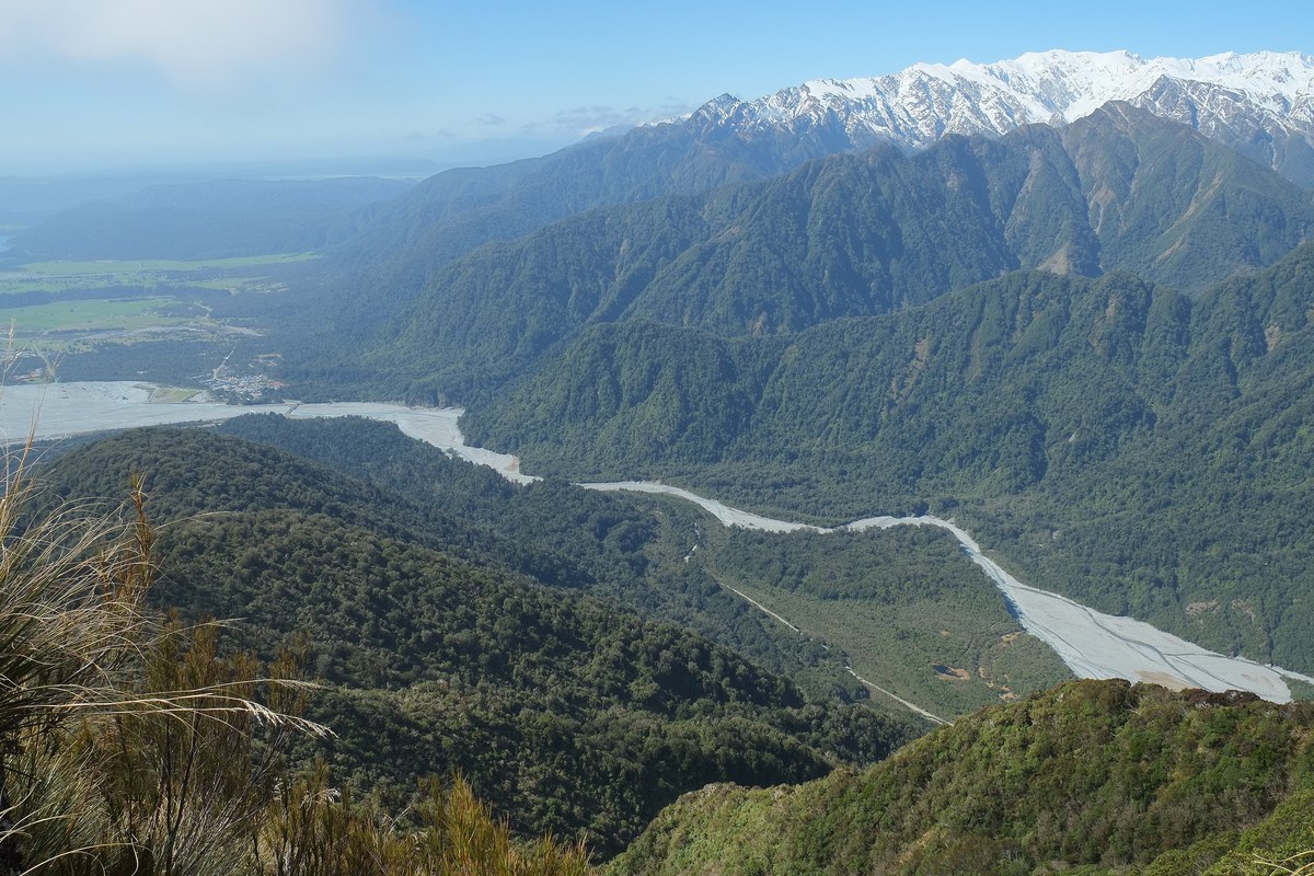 Franz Josef village beneath forested mountains